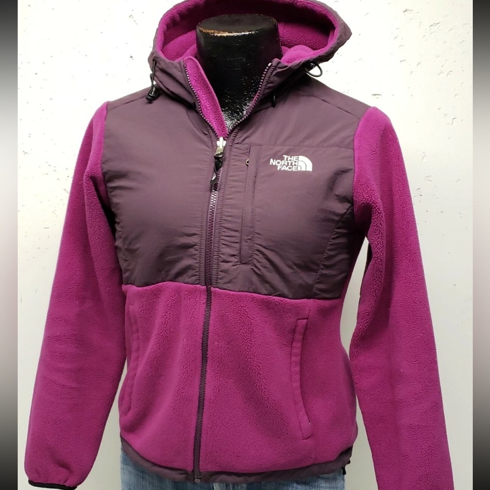 NORTH FACE | Denali Hoodie Jacket